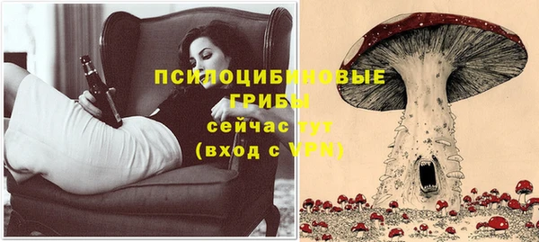 a pvp Алзамай