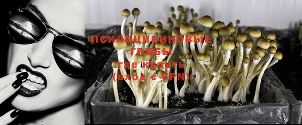 марки nbome Абаза